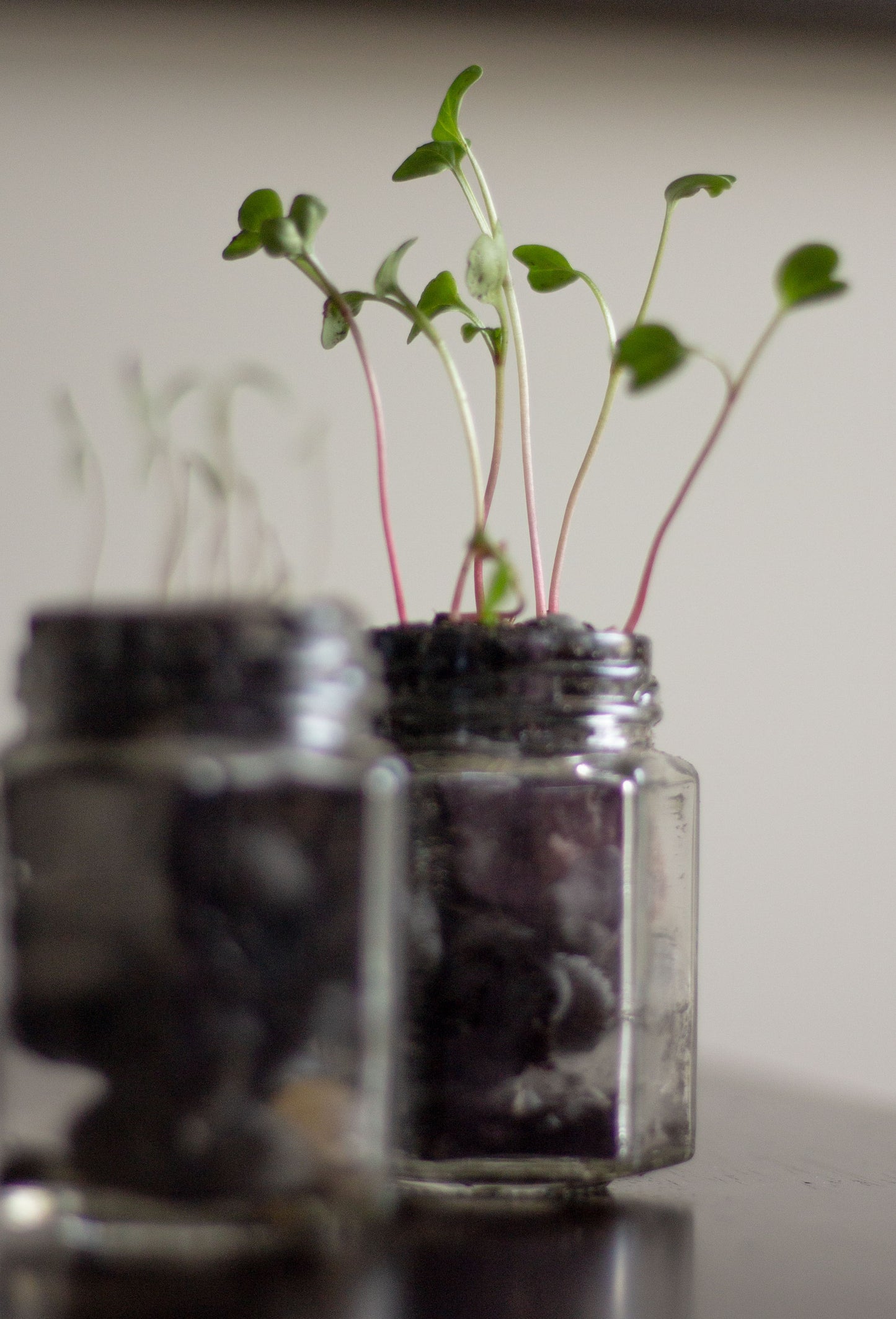 Micro Green Art Sculpture