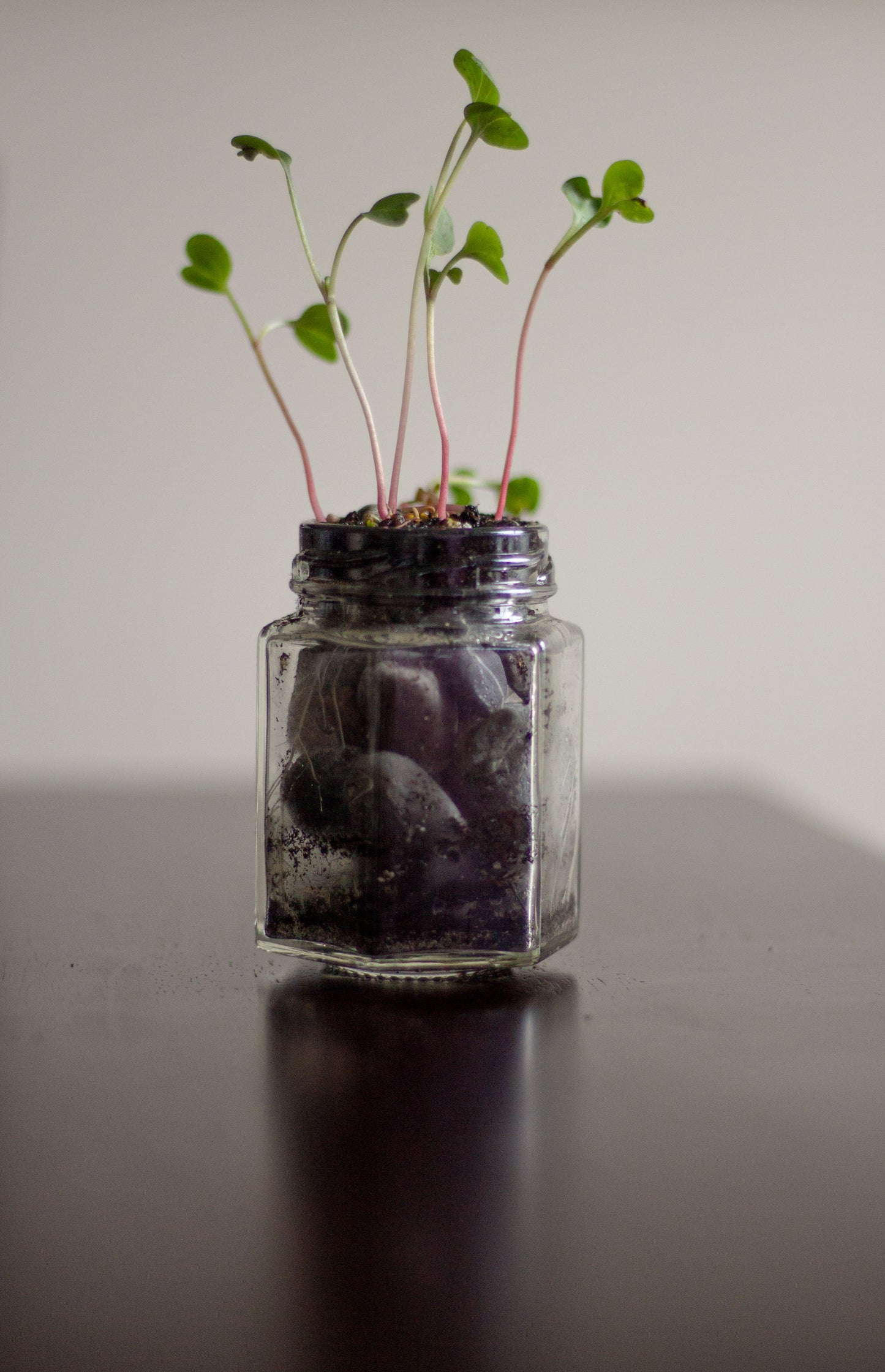 Micro Green Art Sculpture