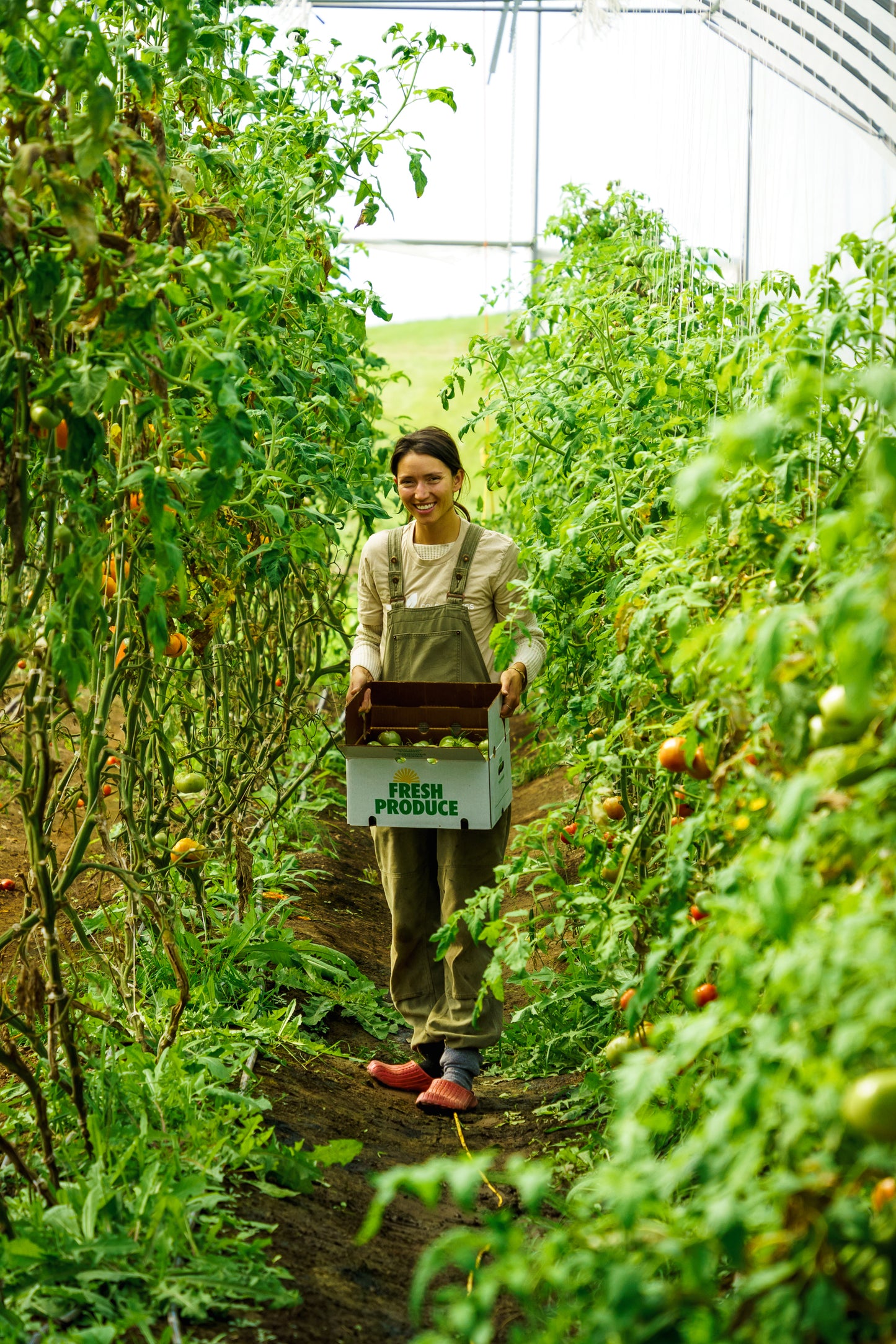enter the garden