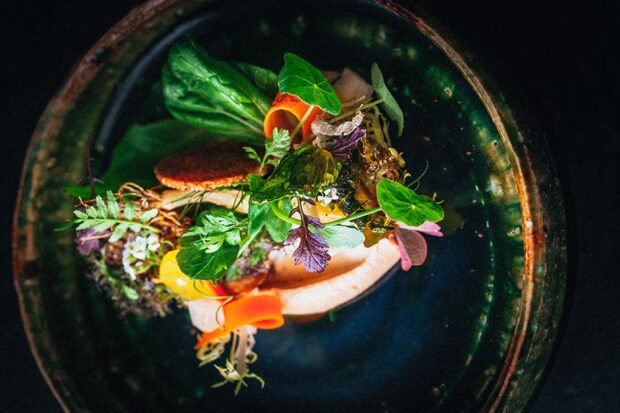 HARVEST DINNER