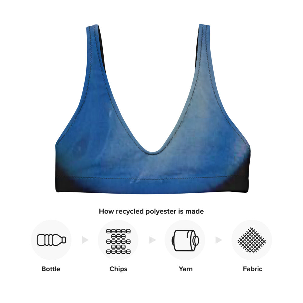 Neptune Recycled padded bikini top