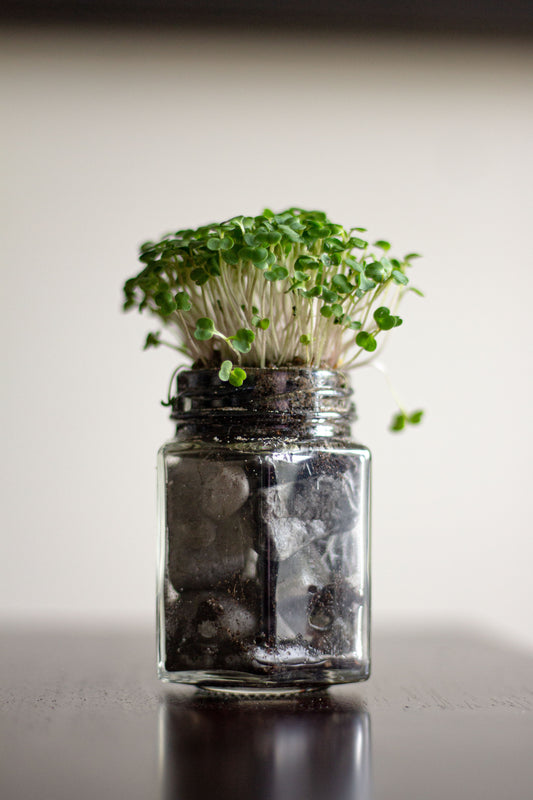 Micro Green Art Sculpture