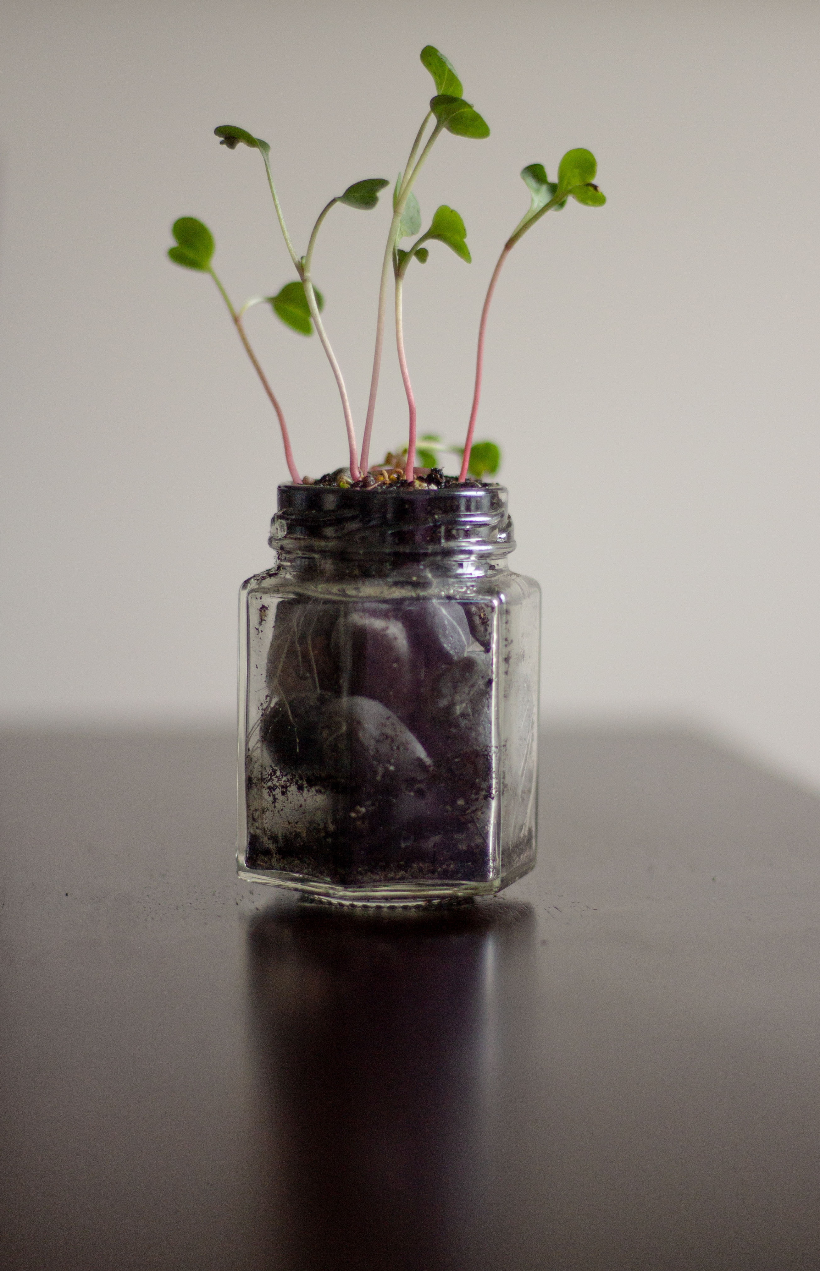 Micro Green Art Sculpture