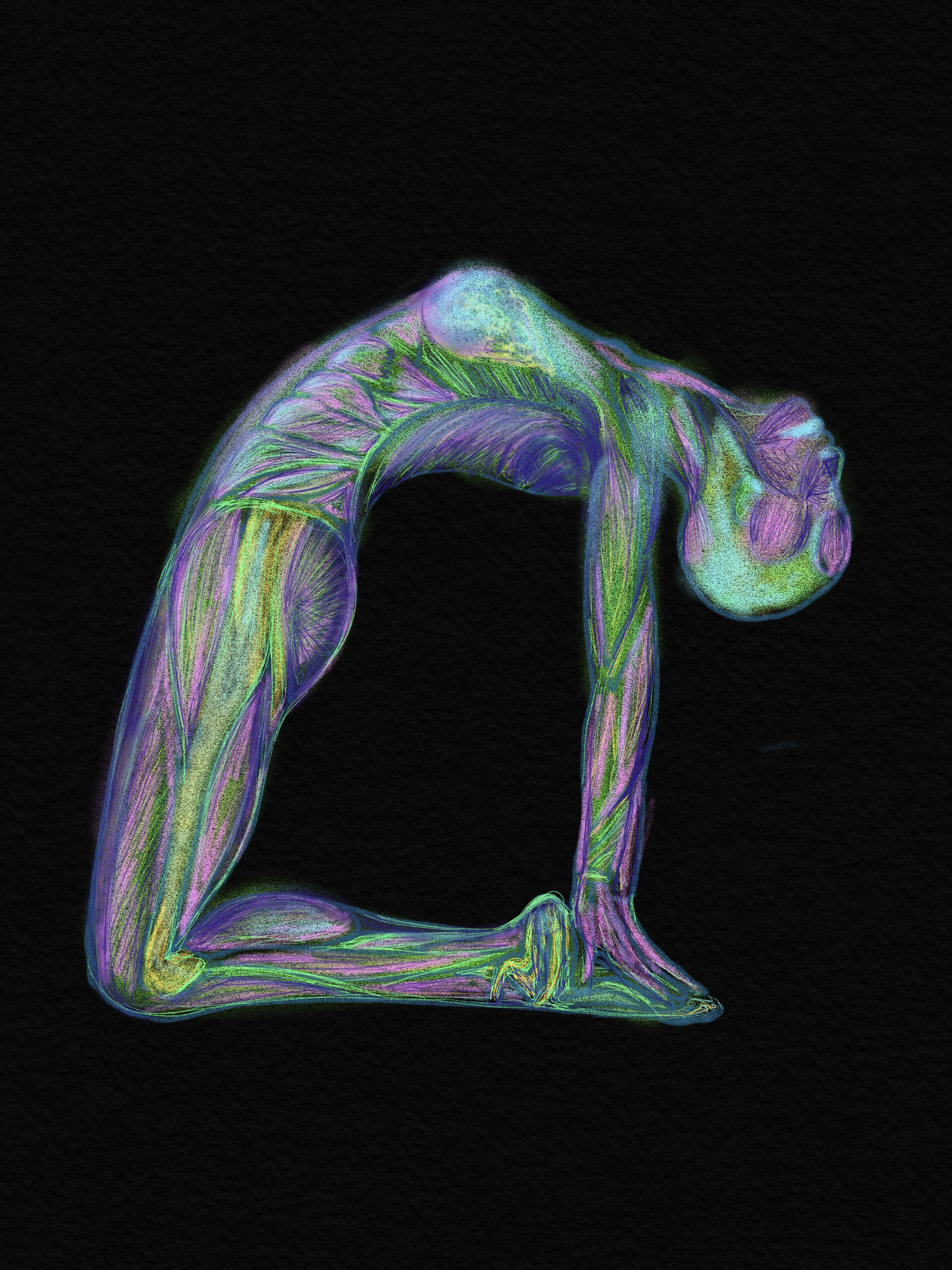 ustrasana n3