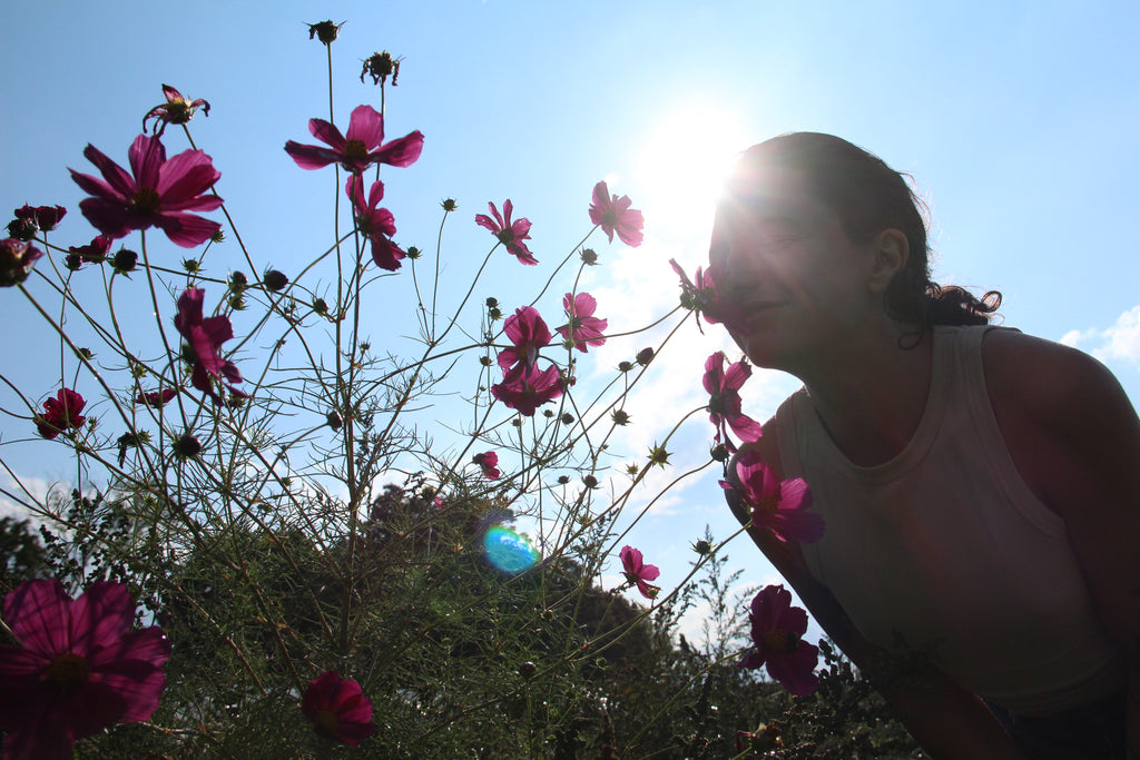 Mini Nature Photoshoot